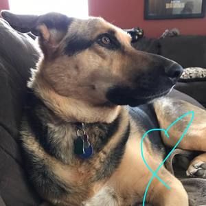 Meet your Posher, Kaila